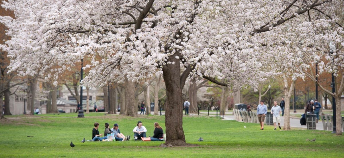Весна в парке время года