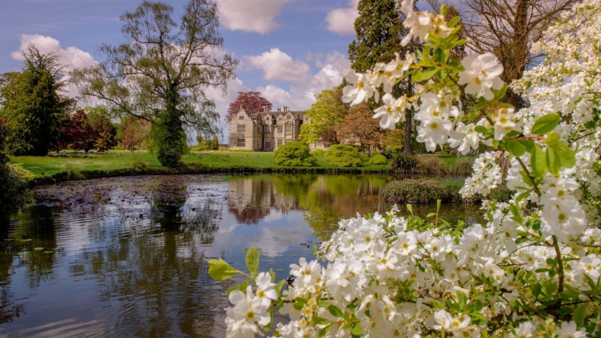 Красивые пейзажи весны