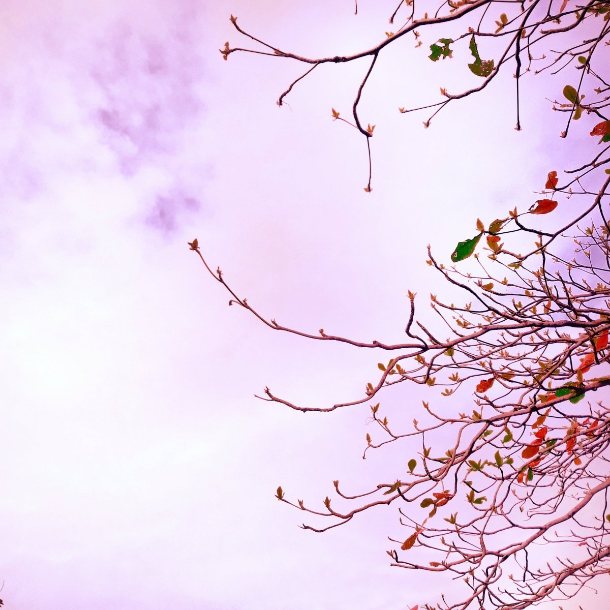 Весна Минимализм