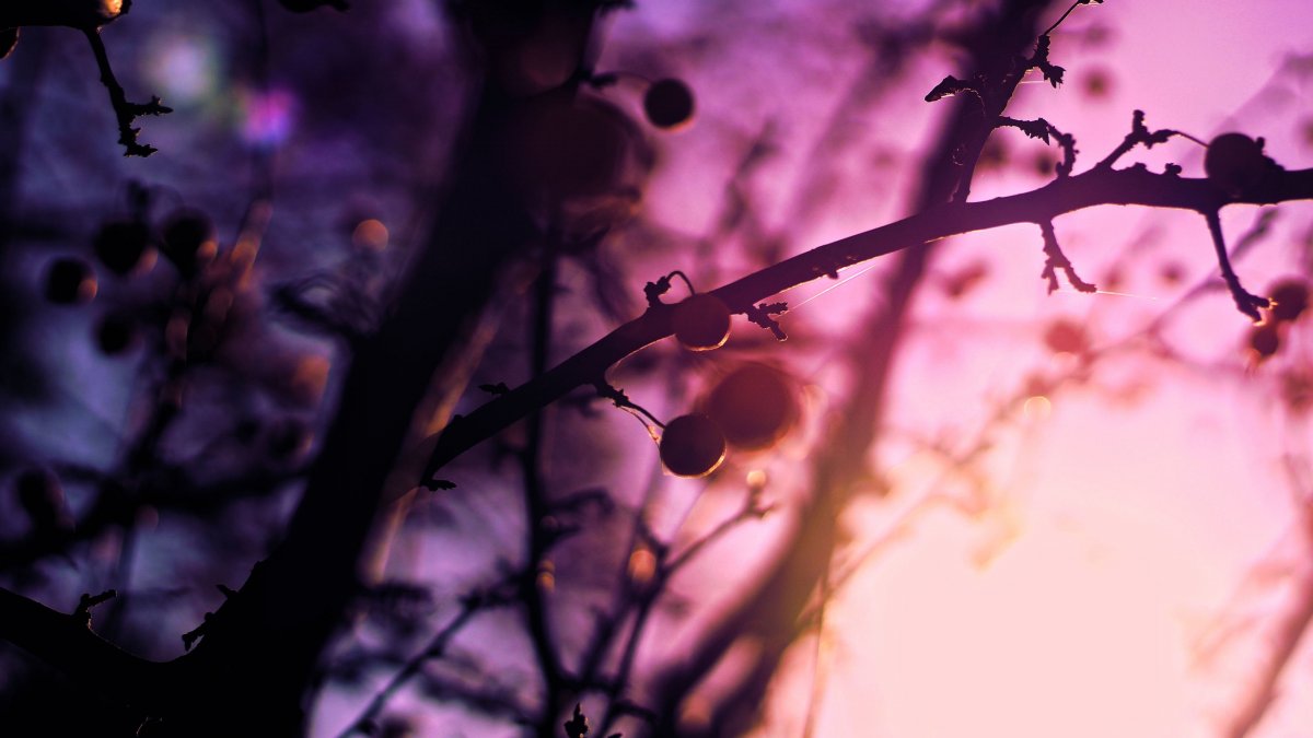 Весна Эстетика