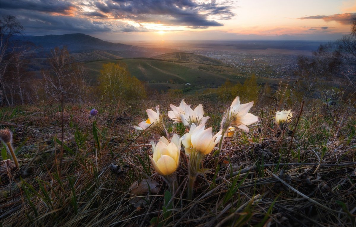 Рассвет весной