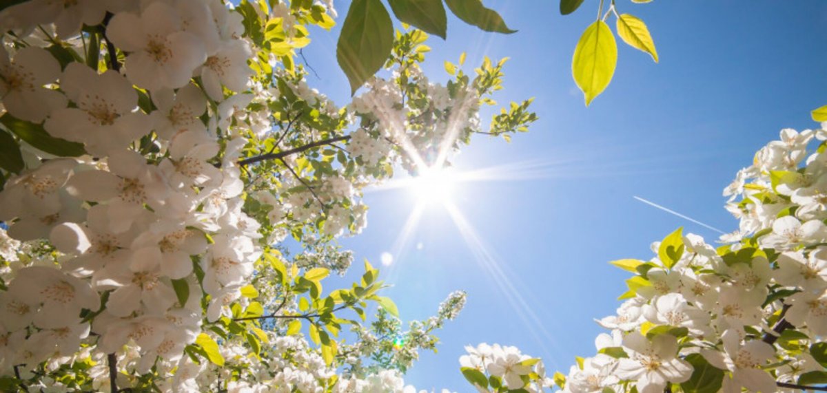 Солнце весной весной