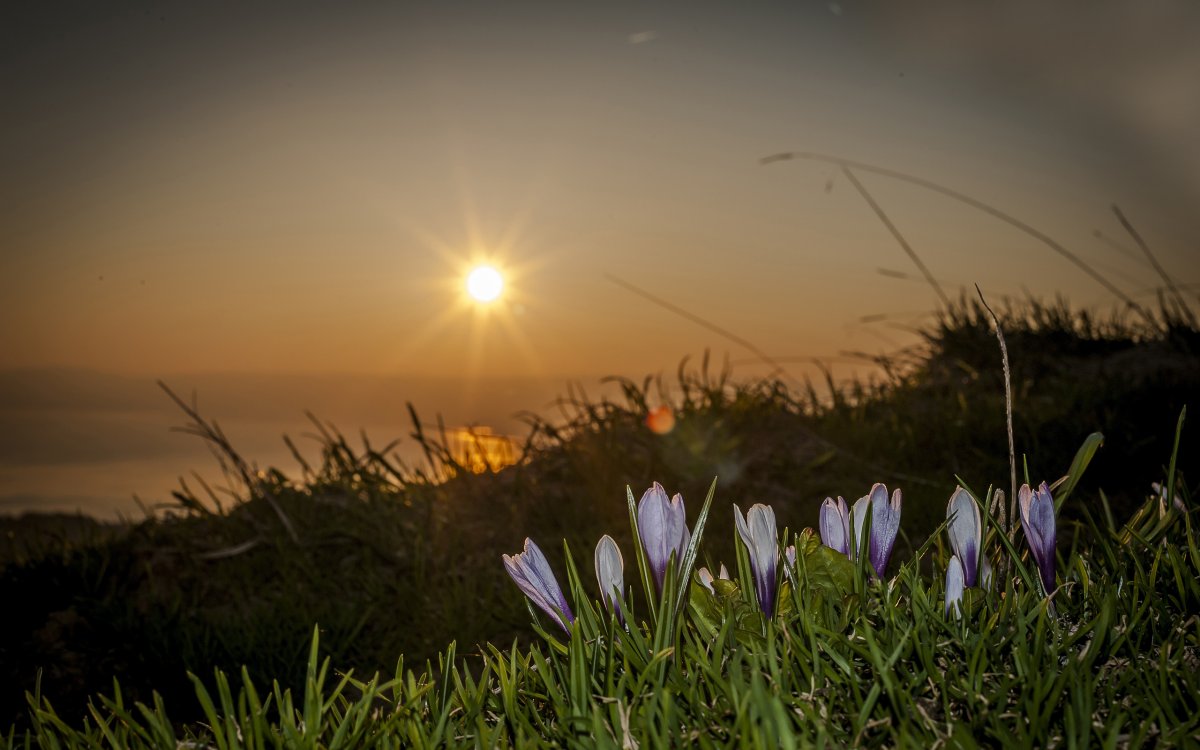 Рассвет весной