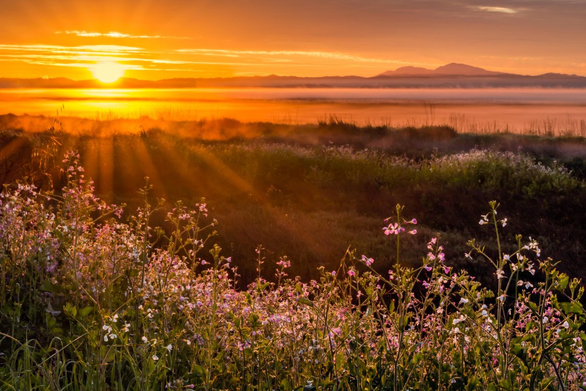 Весна рассвет