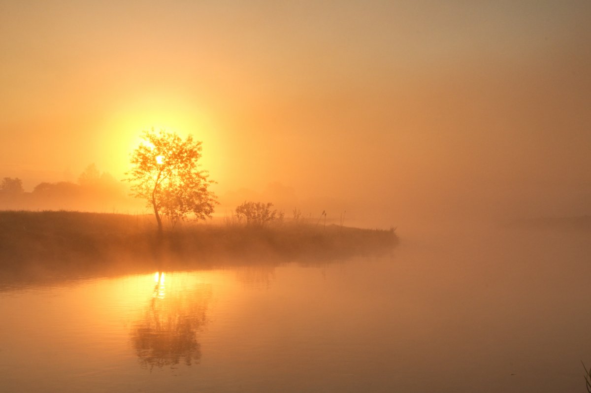 Весна рассвет