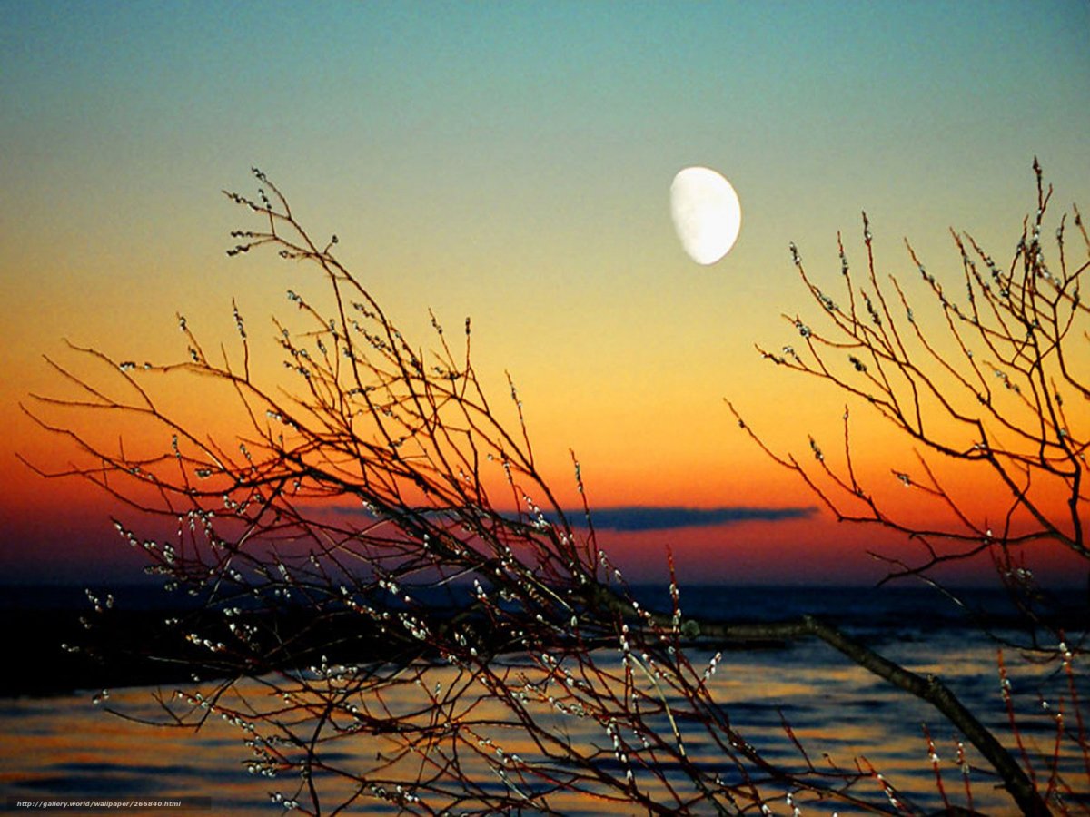 Весенний закат