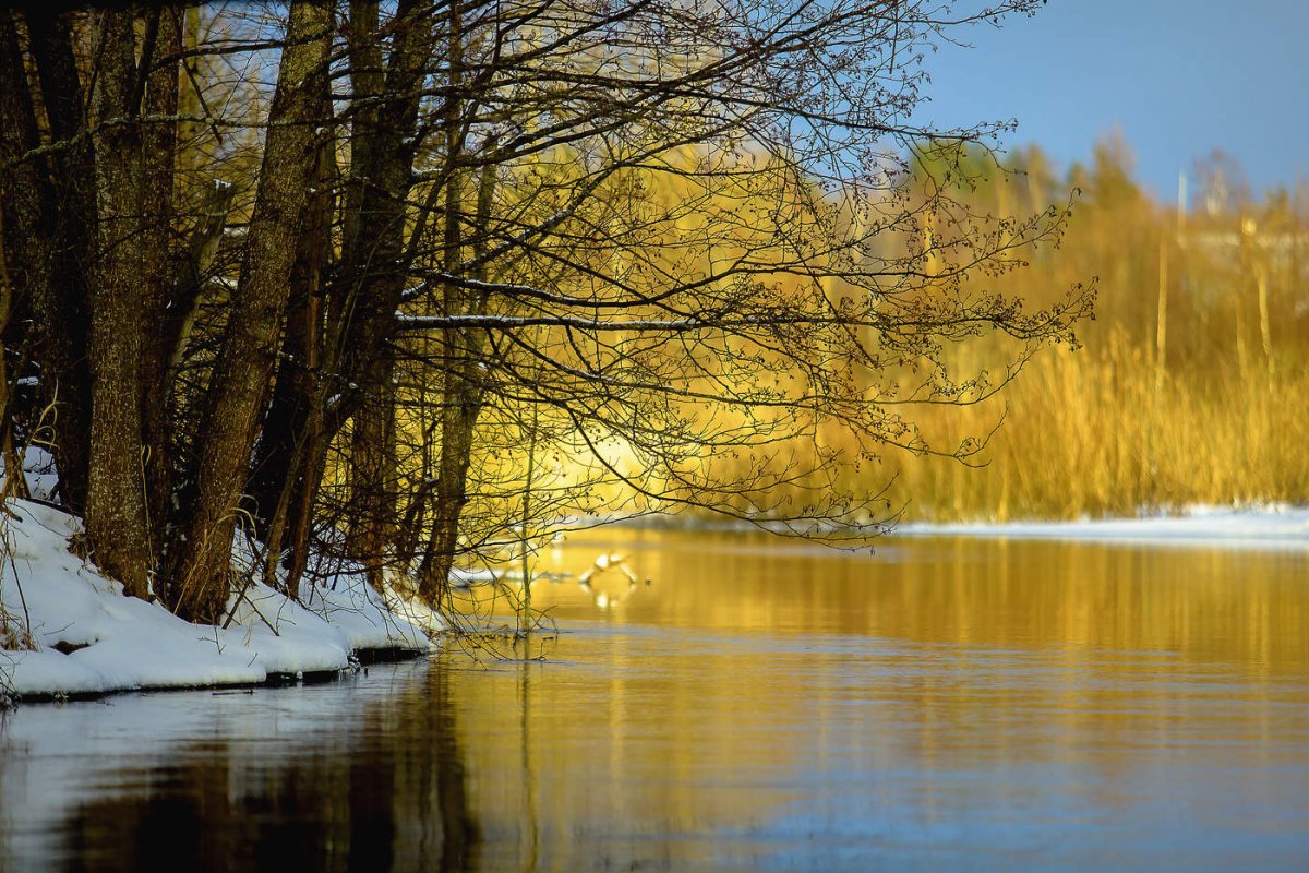 Ранняя Весна солнечно