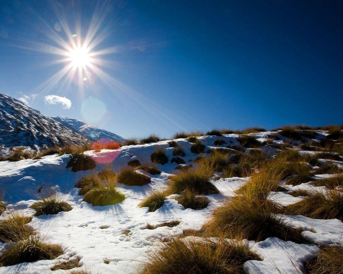 Весеннее солнце