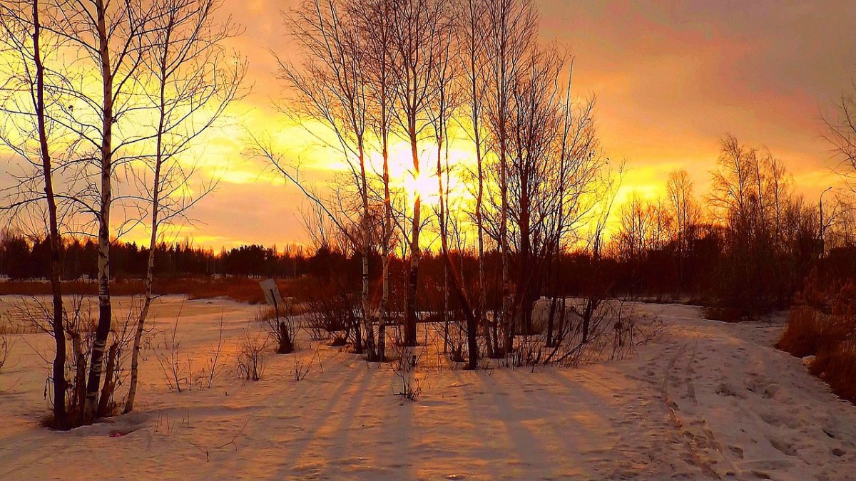 Март природа