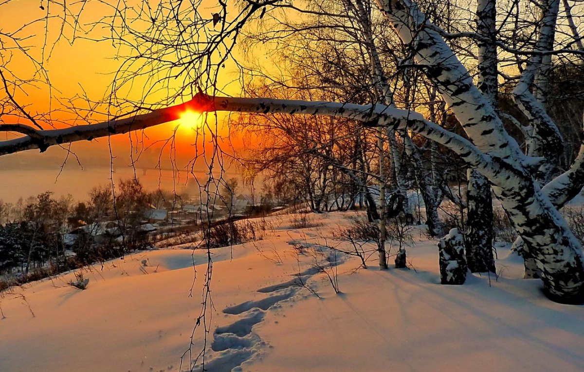 Морозное солнечное утро