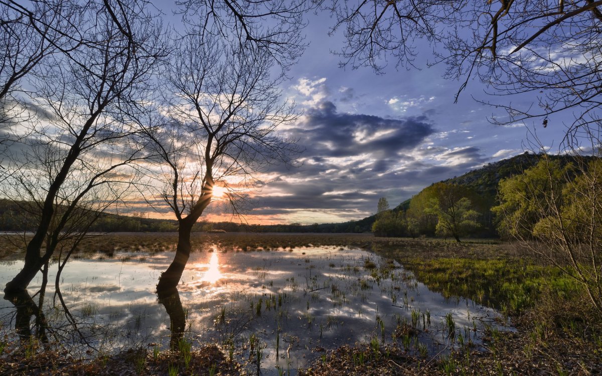 Ранняя Весна солнце