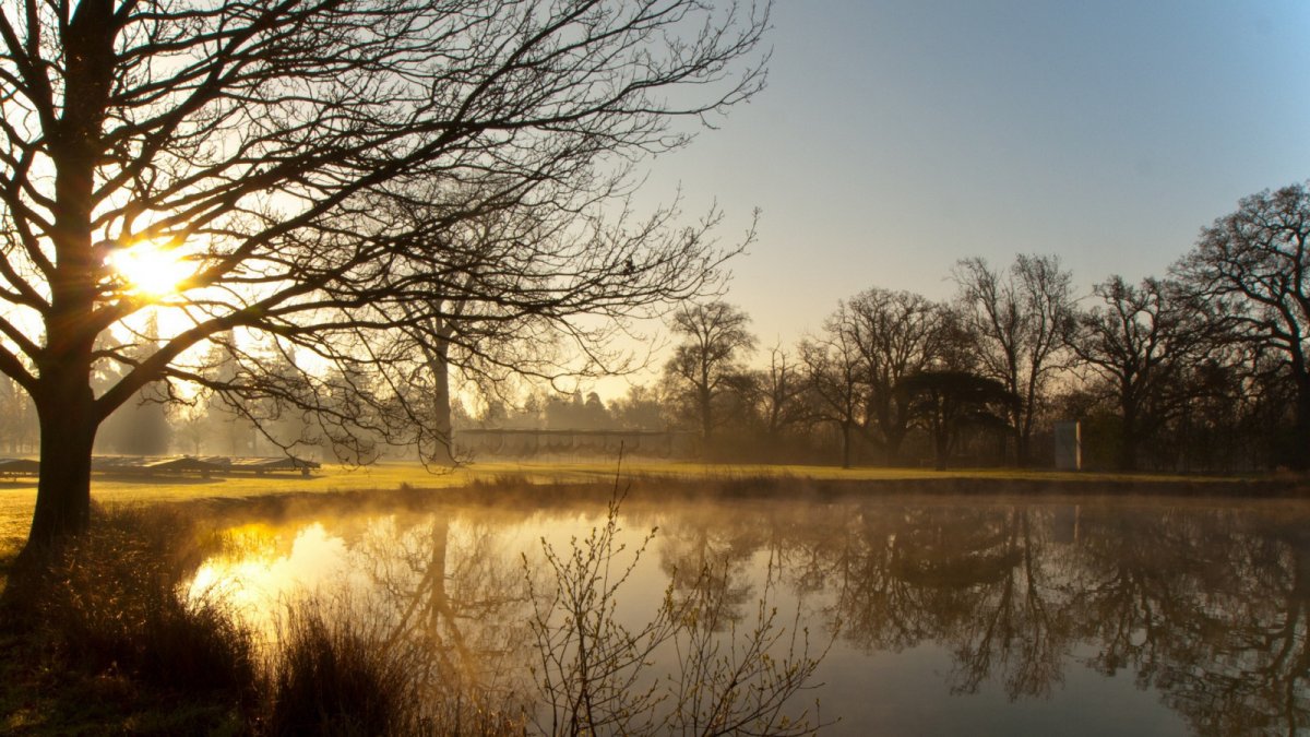 Солнечного апрельского утра
