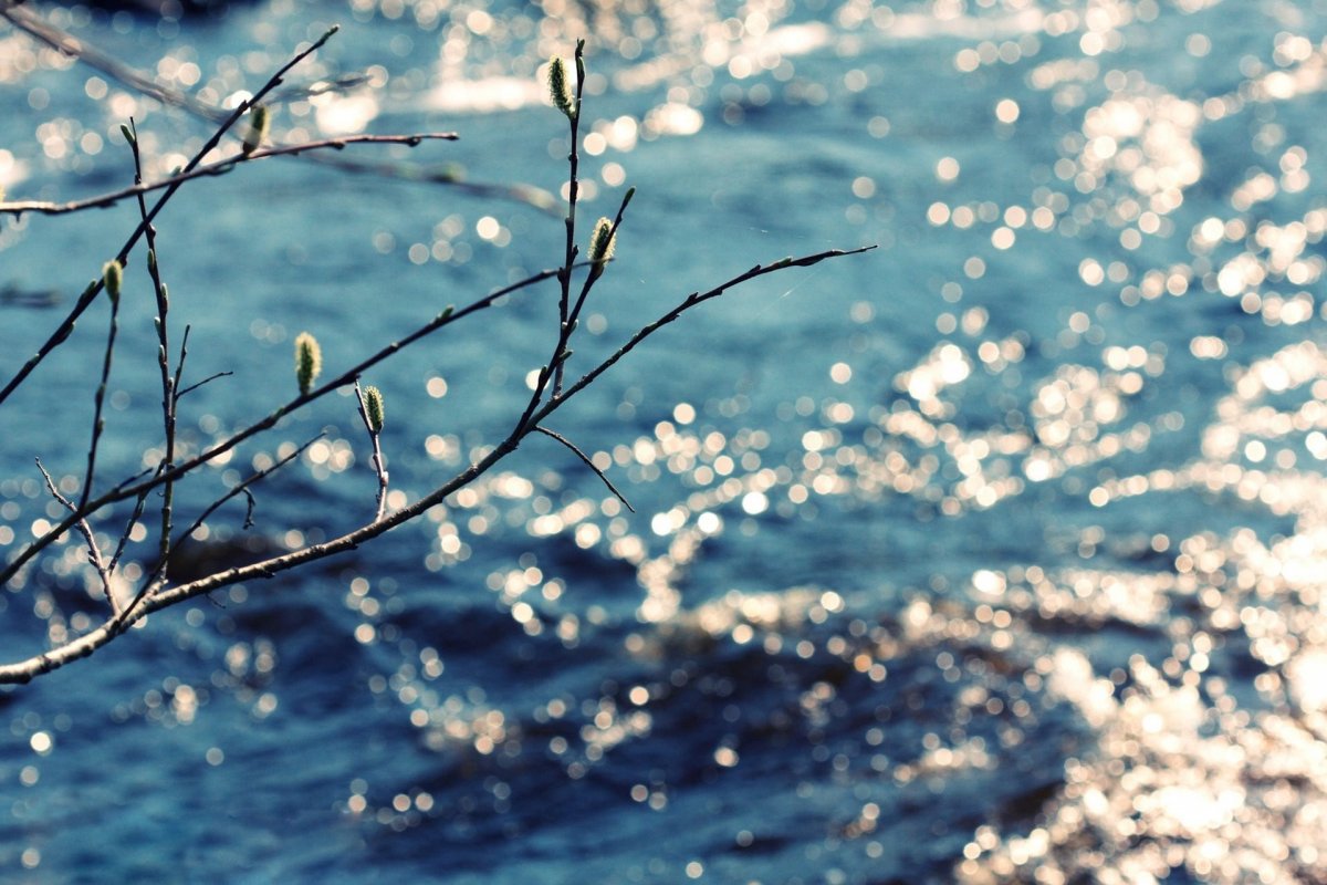 Ранняя Весна солнце