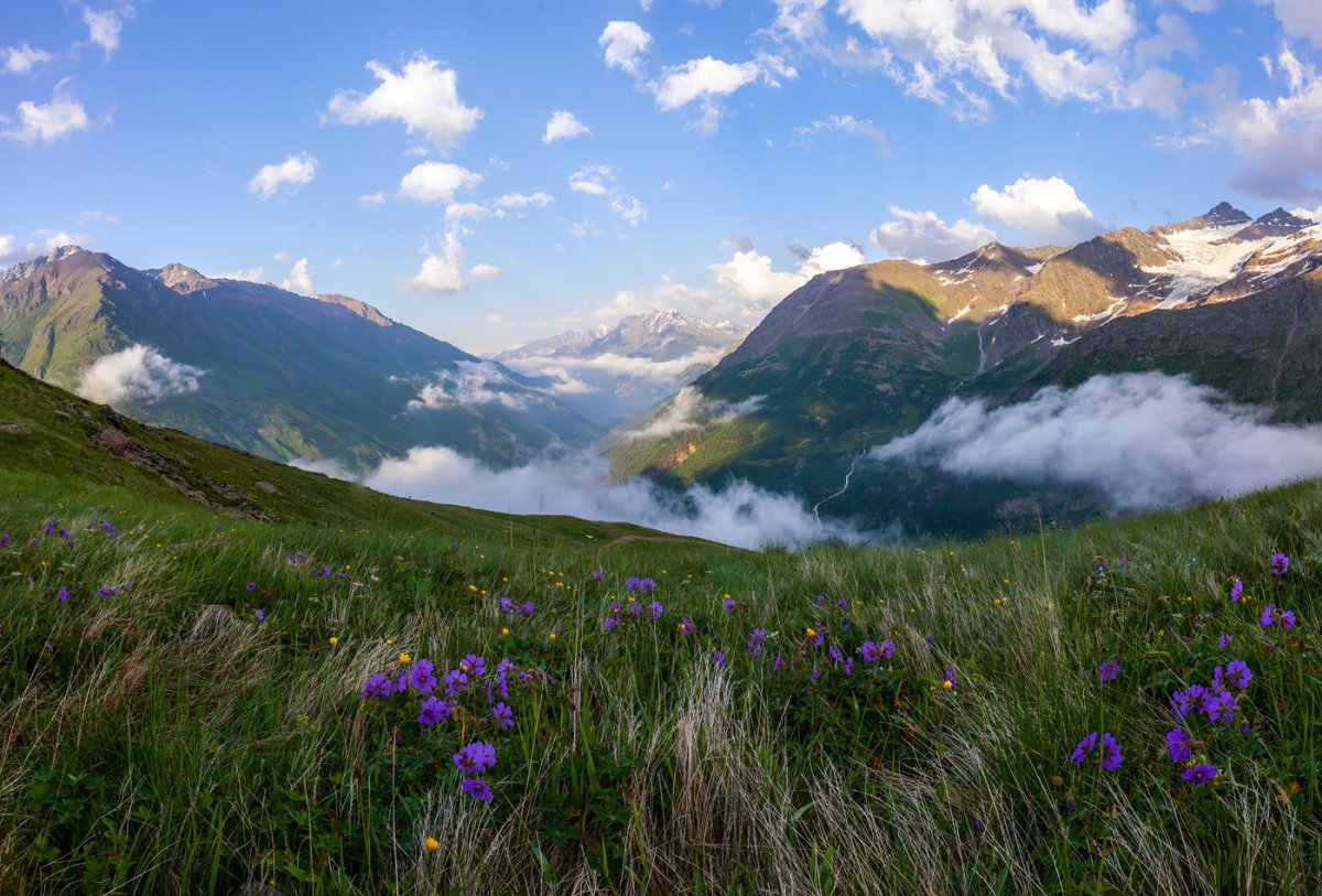 Альпийские Луга Приэльбрусья