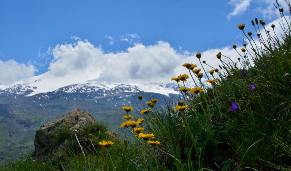 Лето горы Эльбрус