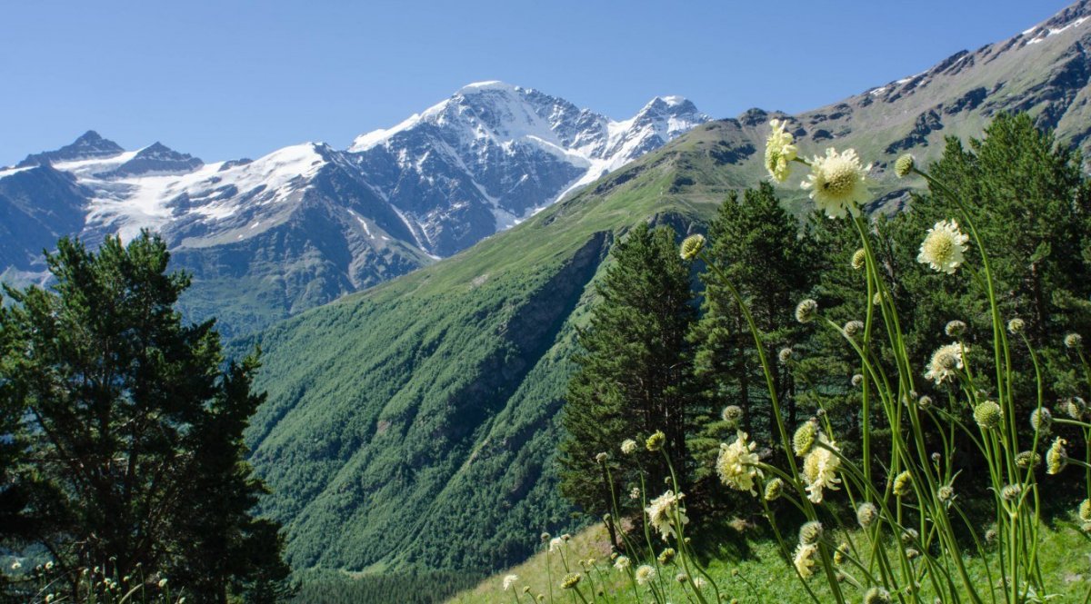 Альпийские Луга Эльбруса