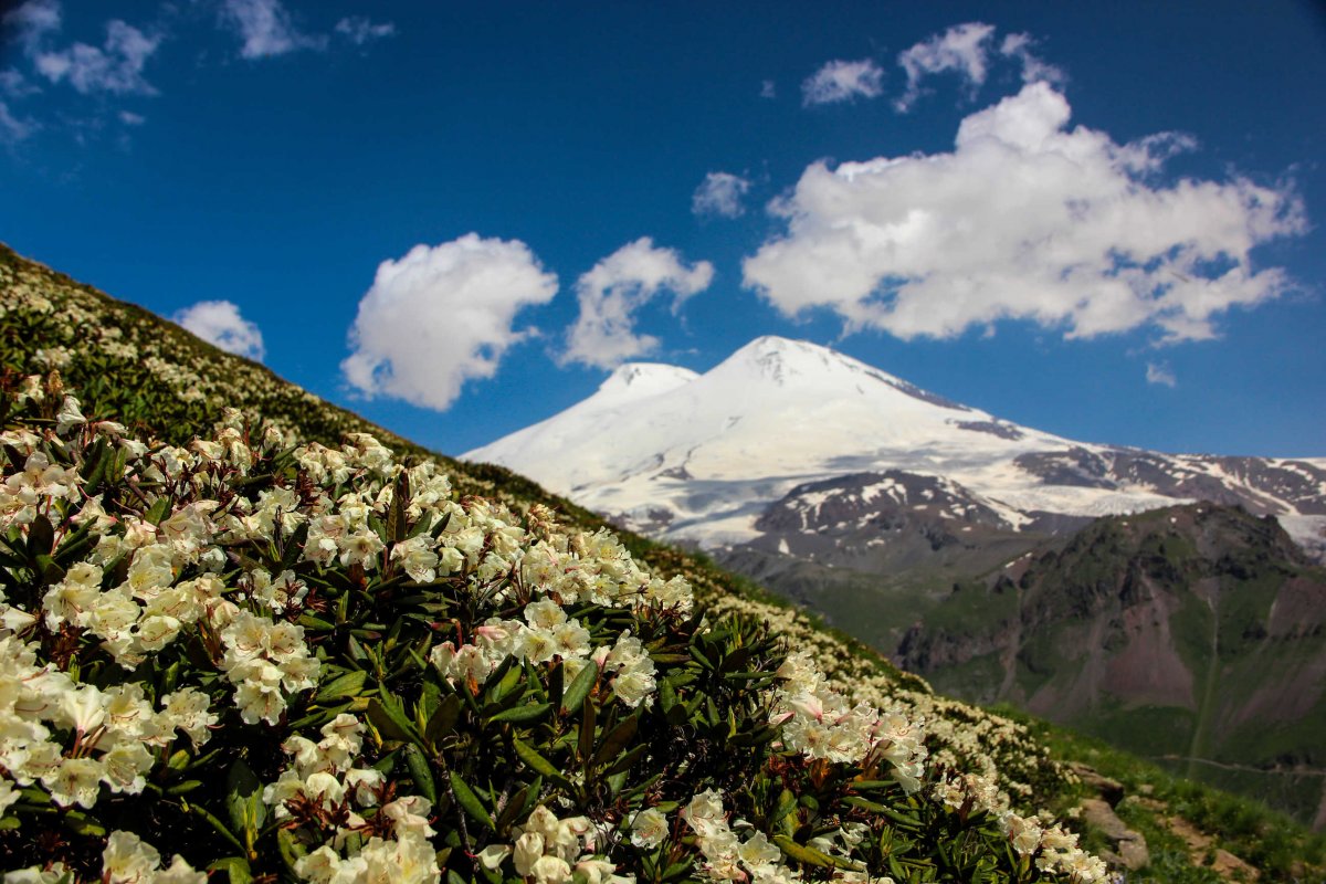 Эльбрус гора Чегем