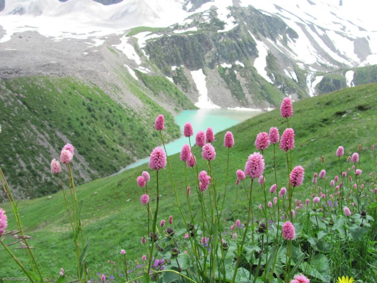 Ациональный парк «Приэльбрусье