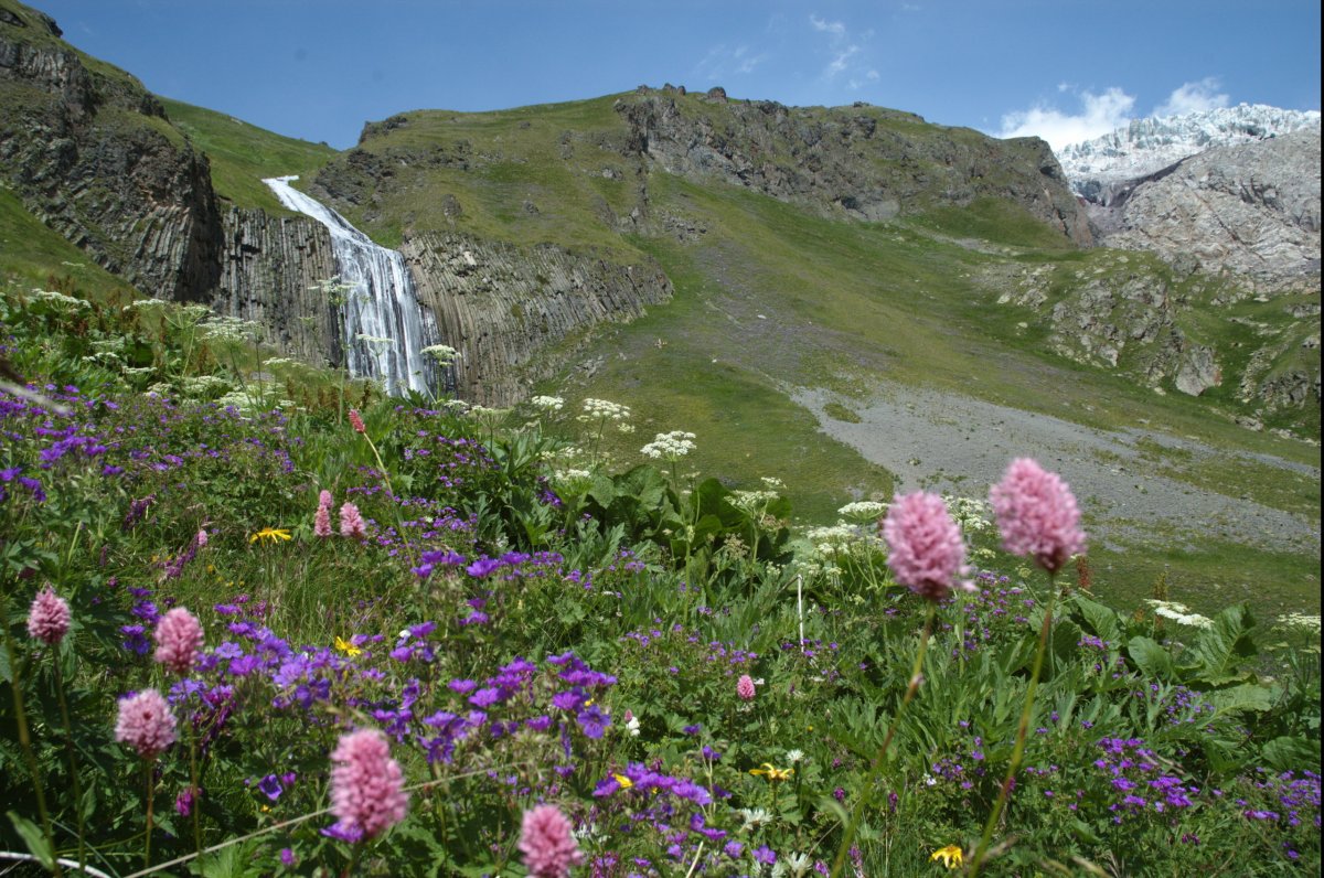 Альпийские Луга Приэльбрусья
