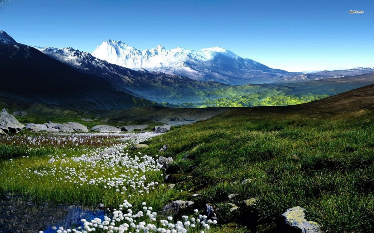 Швеция Альпийские Луга