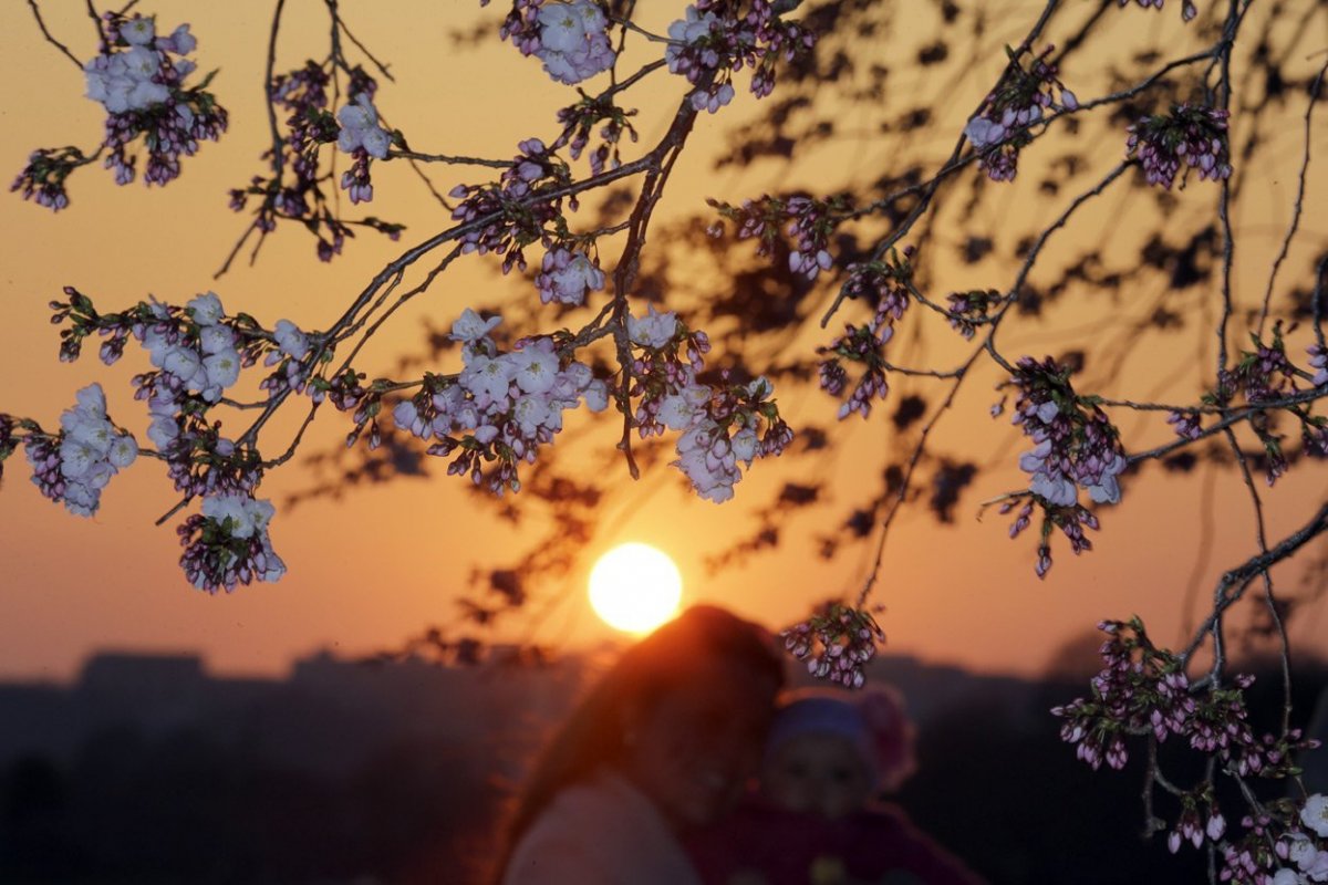 Весенний вечер