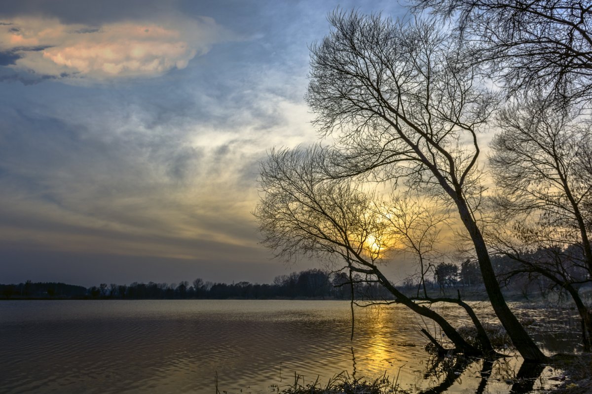 Весенний вечер природа