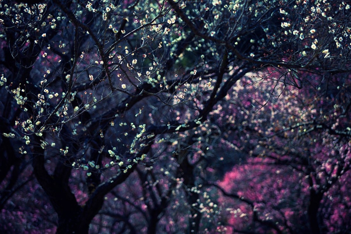 Красивый фон для фото