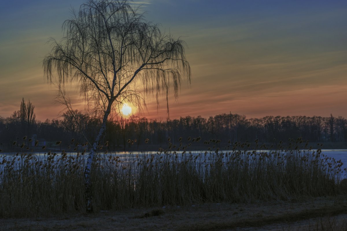 Весенний вечер природа