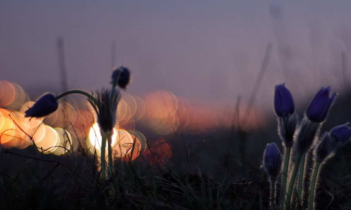 Вечер Вдохновение