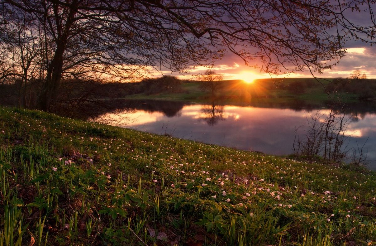 Сергей Есенин весенний вечер