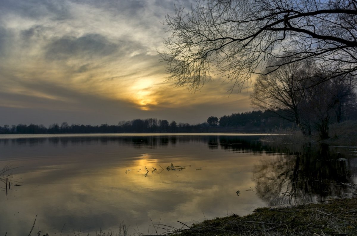 Вечерний весенний пейзаж