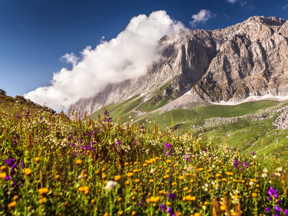 Плато Лаго-Наки Альпийские Луга