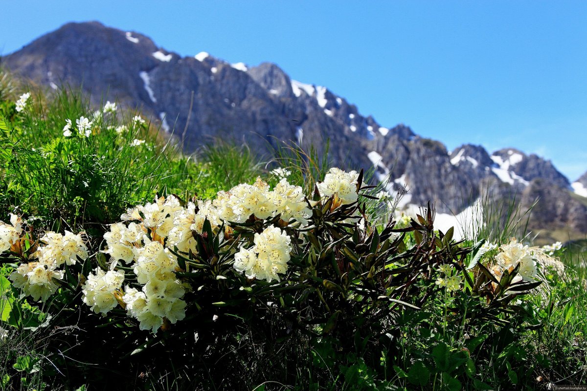 Плато Лагонаки
