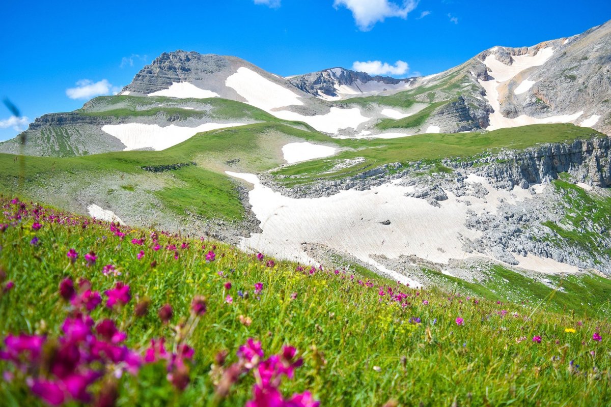 Природа Адыгеи горы весной