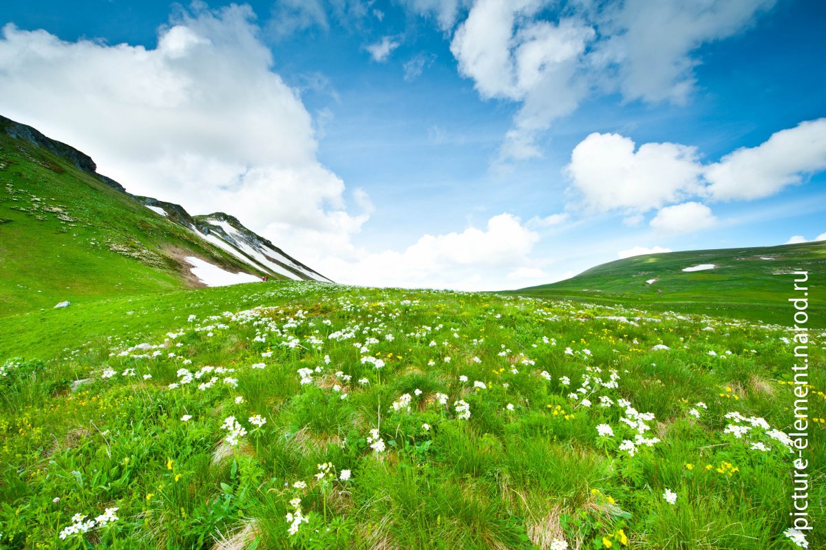 Лагонакское Нагорье (плато Лаго-Наки)