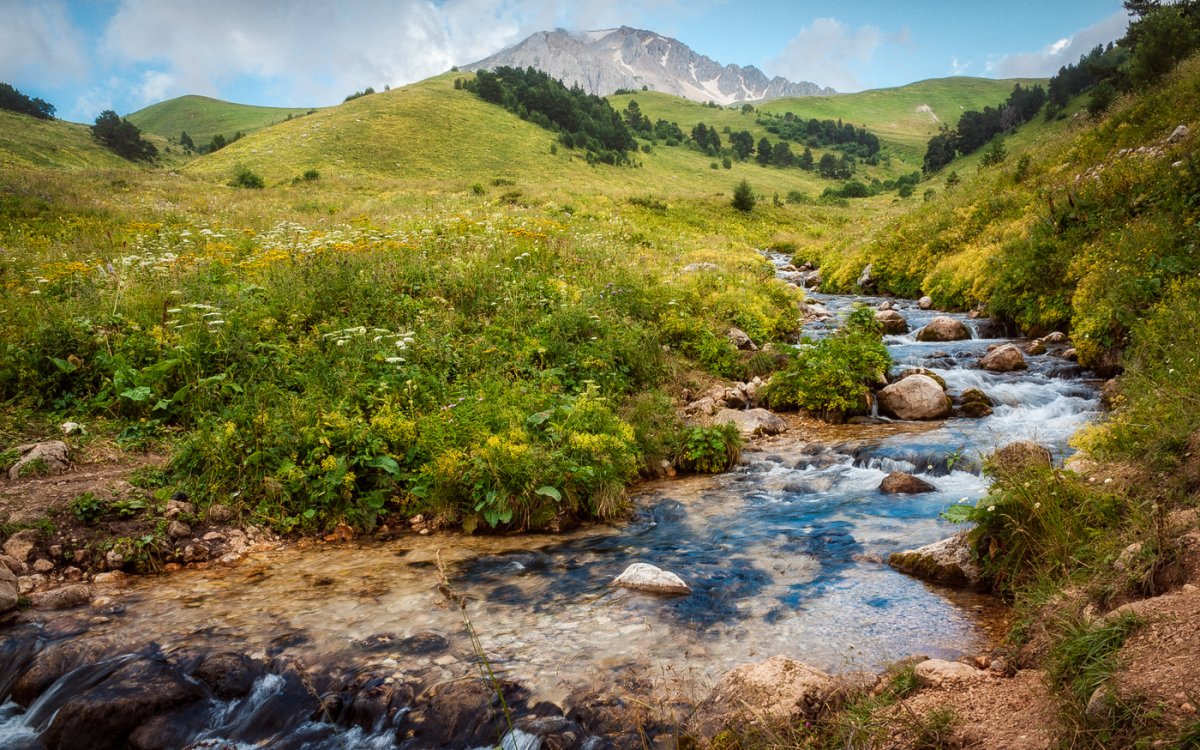 Альпийские Луга Лагонаки