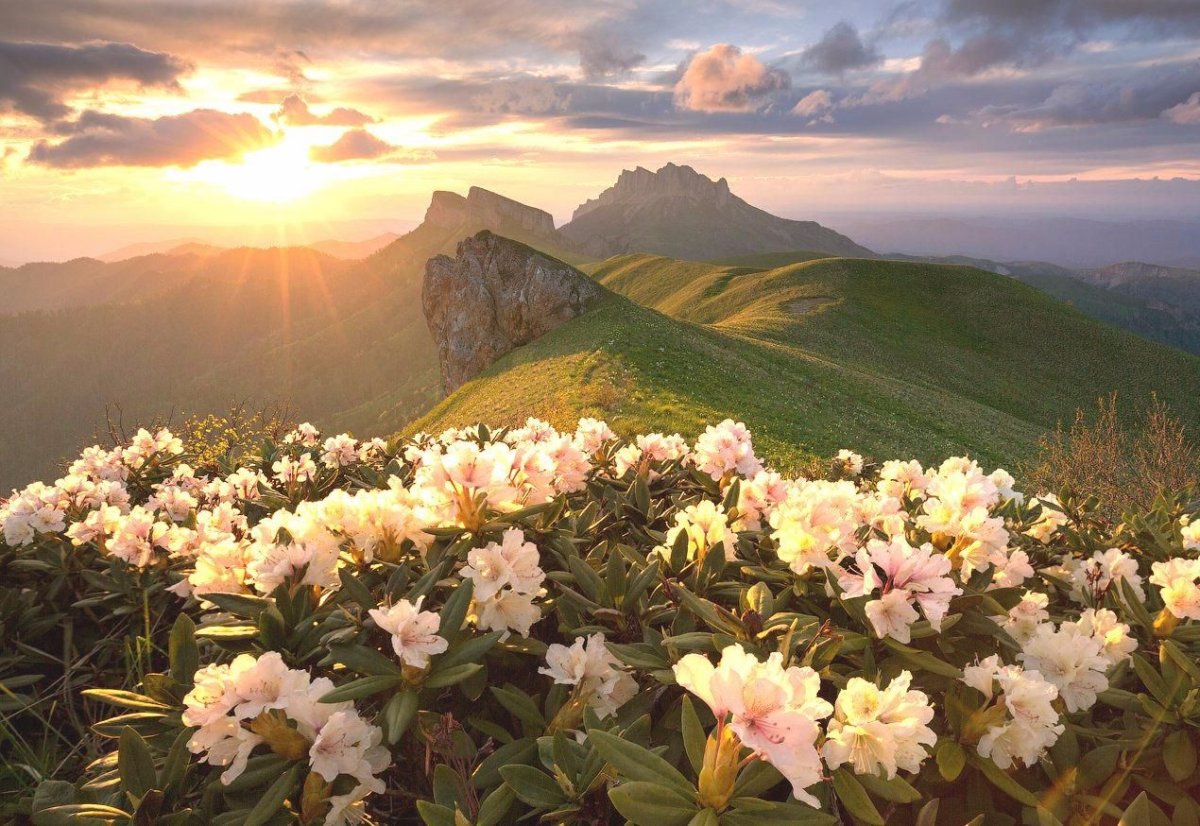 Каньон Хаджохская теснина