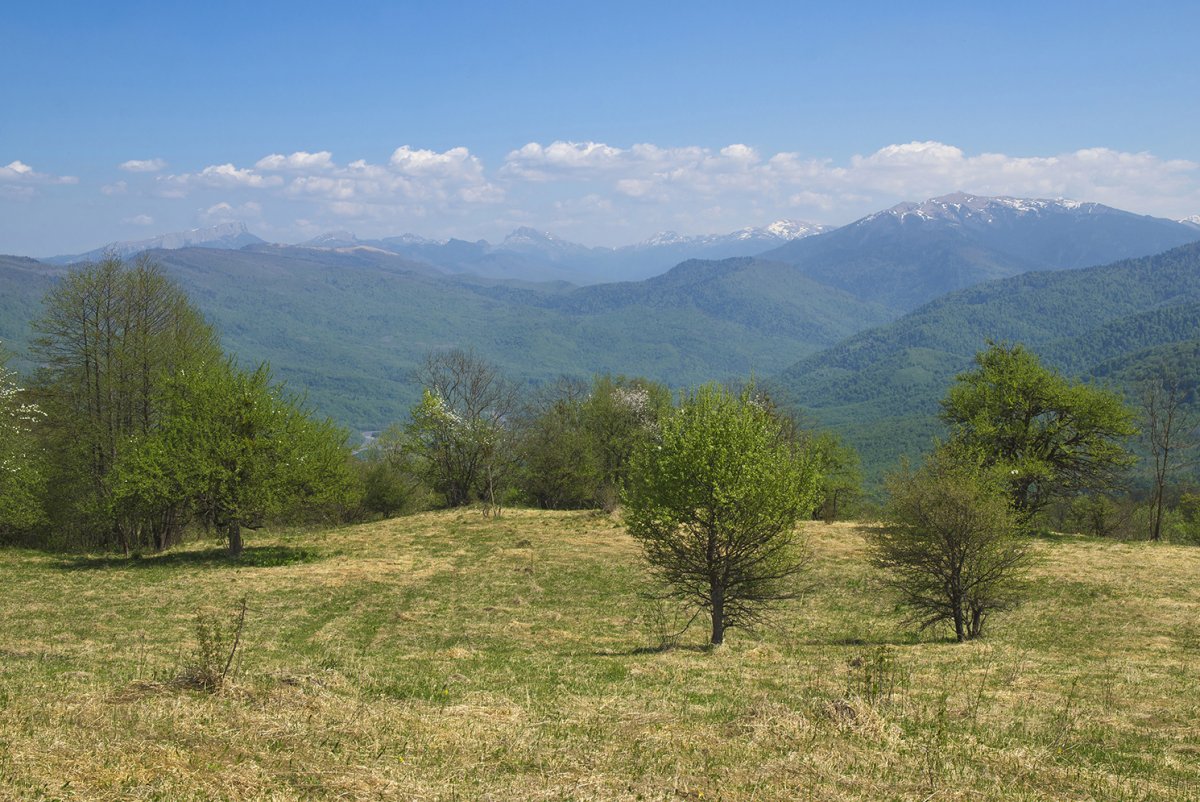 Гора Тхач Адыгея