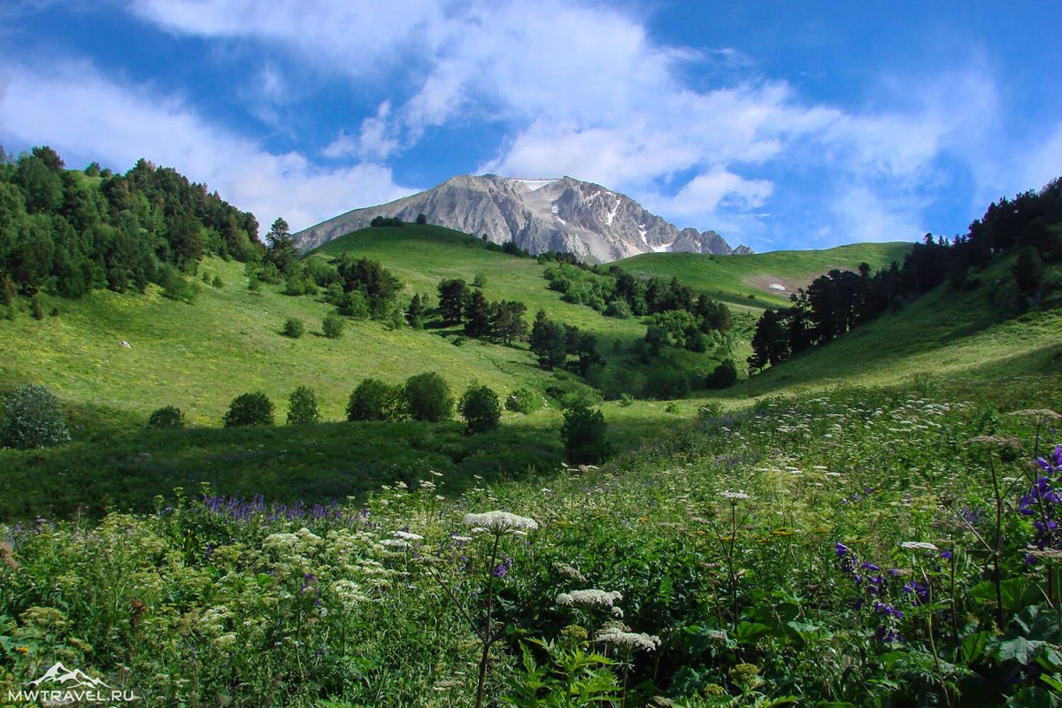 Лагонаки Альпы