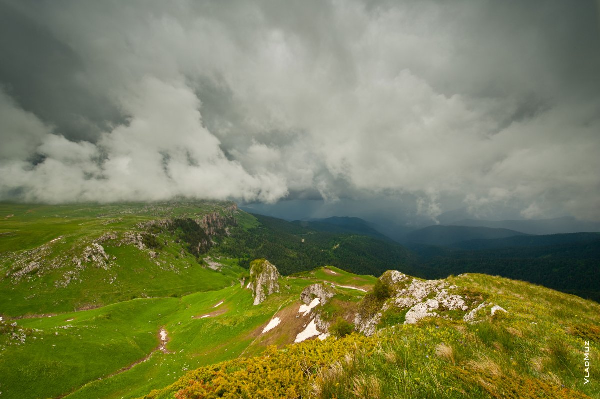 Цербелевы Поляны Адыгея
