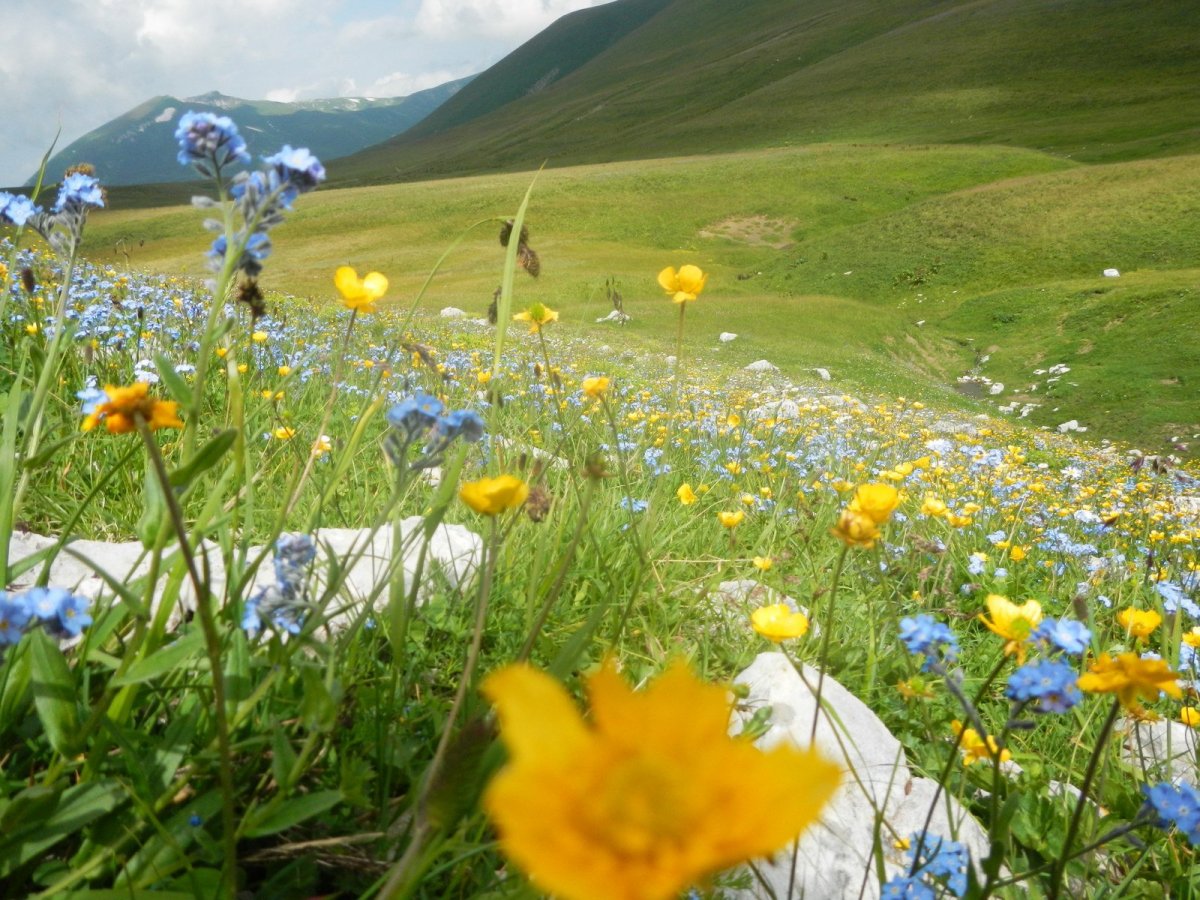 Адыгея - плато Лаго -Наки -гостиницы