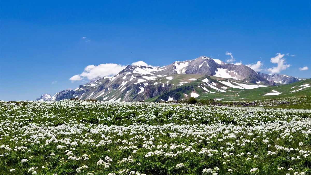 Кавказский заповедник плато Лагонаки
