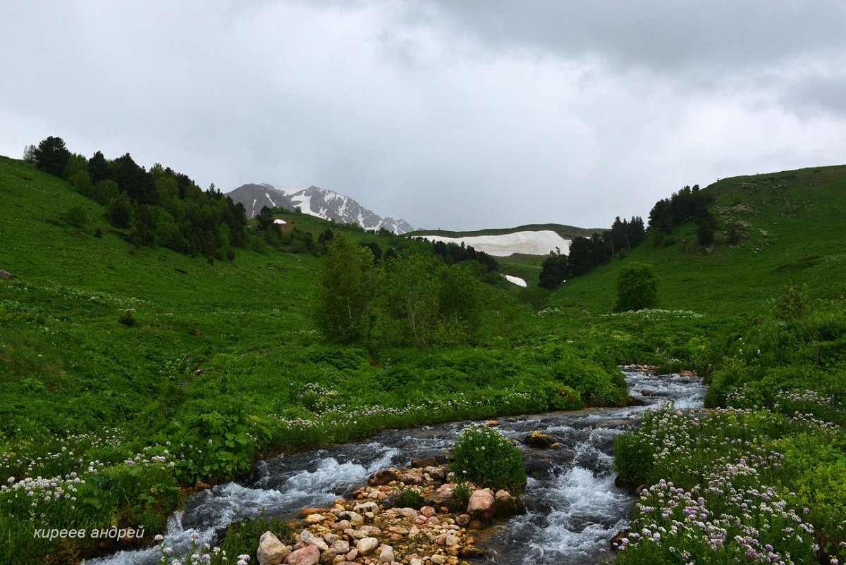 Альпийские Луга в Геленджике