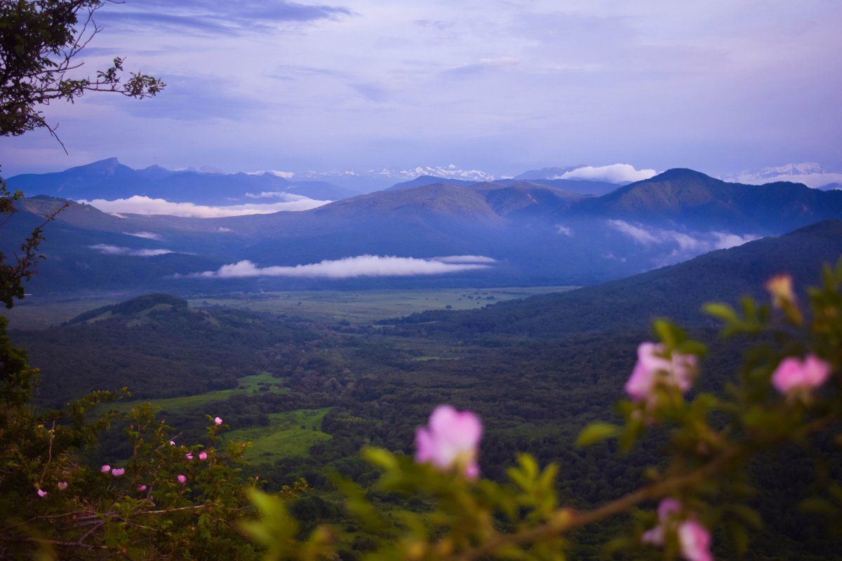 Плато Лагонаки Адыгея