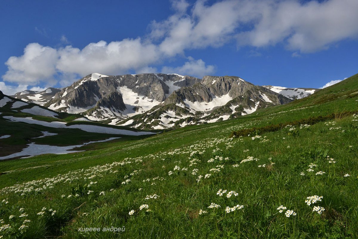 Плато Лагонаки Адыгея весной