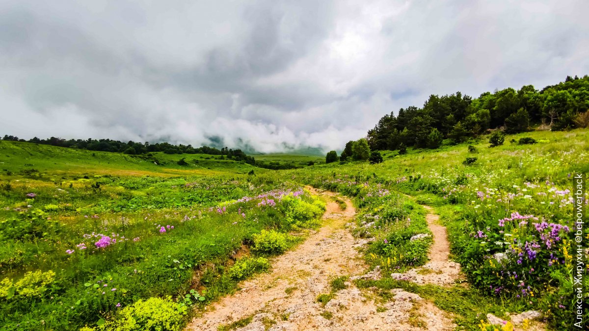 Альпийские Луга Лагонаки