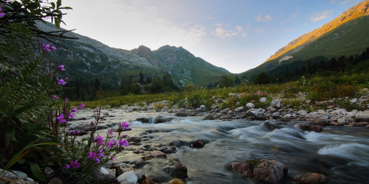 Плато Лагонаки Адыгея весной