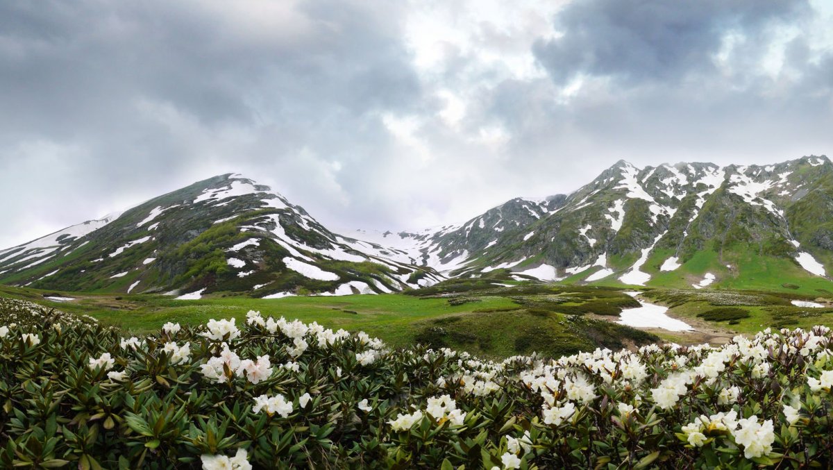 Красивые заставки на экран природа Лагонаки