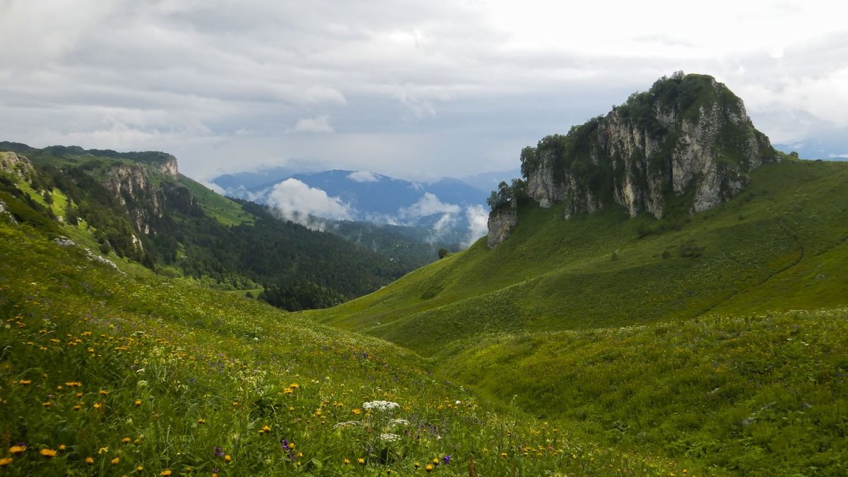 Кавказский биосферный заповедник Майкоп Флора