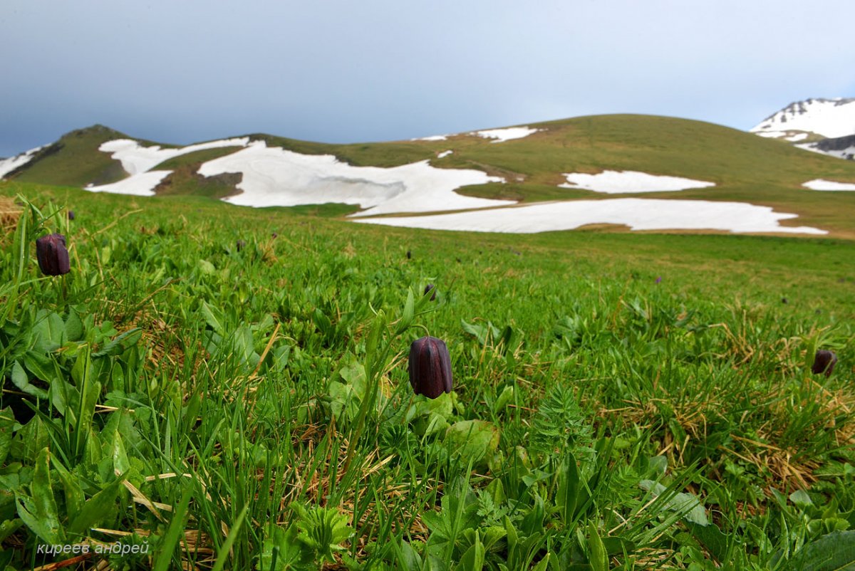 Реки и горы Адыгеи